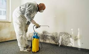 Best Mold Remediation for Healthcare Facilities  in Berry Hill, TN