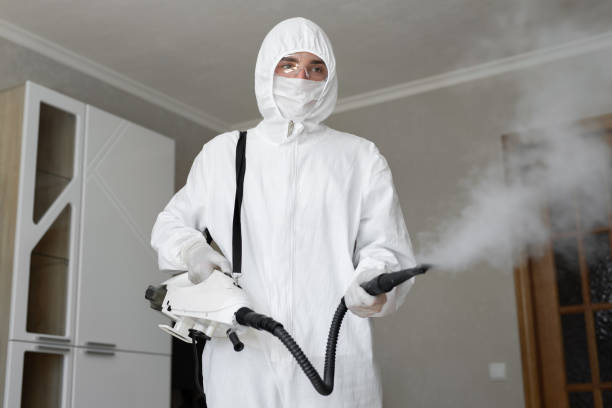 Best Emergency Mold Remediation  in Berry Hill, TN