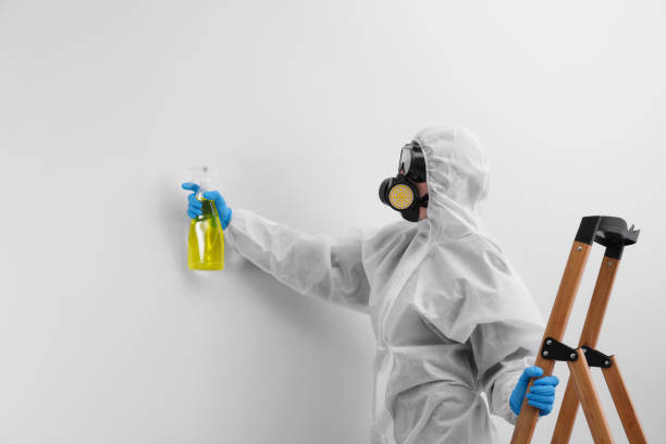 Best Comprehensive Air Testing for Mold Contaminants  in Berry Hill, TN